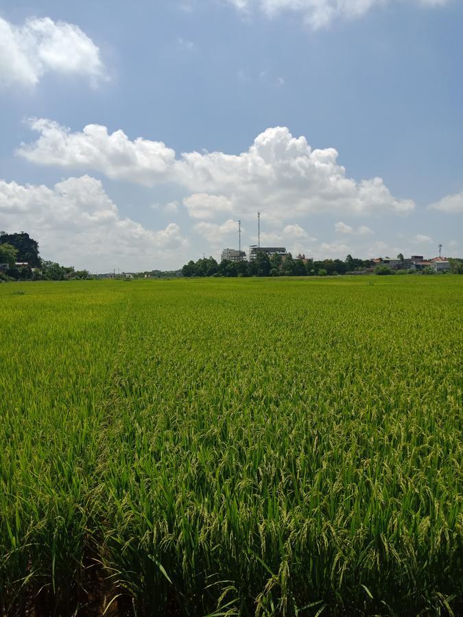 Tam Coc Valley Bungalow นิญบิ่ญ ภายนอก รูปภาพ