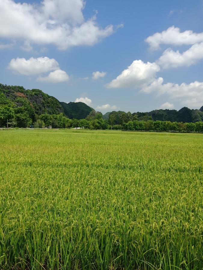Tam Coc Valley Bungalow นิญบิ่ญ ภายนอก รูปภาพ
